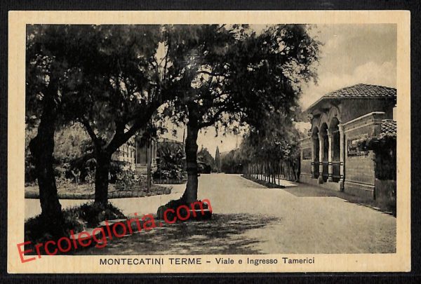 ah8581 - CARTOLINA D'EPOCA - Pistoia Provincia - Montecatini