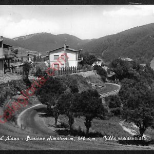 ae2686 - CARTOLINA  D'EPOCA - Bologna Provincia - Castel  d' Aiano
