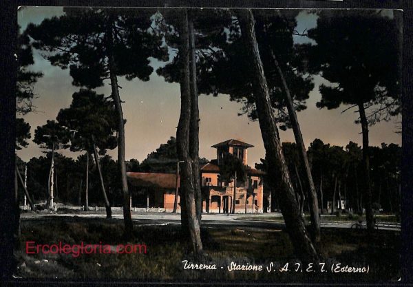 ad7173 - CARTOLINA D'EPOCA - Pisa Provincia - Tirrenia