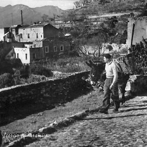 ab7837 -  CARTOLINA  D'EPOCA - Savona Provincia - VARAZZE  1964
