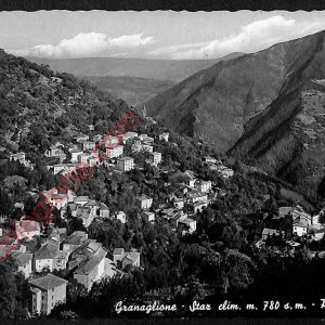 ae2692 - CARTOLINA  D'EPOCA - Bologna Provincia - Granaglione