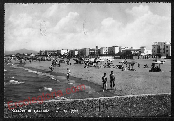 ag2336 - CARTOLINA D'EPOCA - Grosseto Provincia - Marina di Grosseto  1960