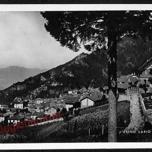 CARTOLINA d'Epoca - LECCO: ESINO LARIO