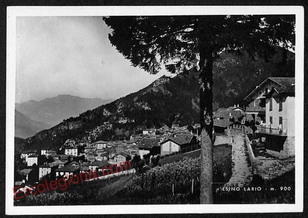 CARTOLINA d'Epoca - LECCO: ESINO LARIO