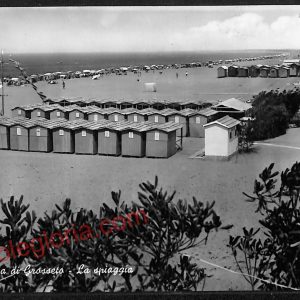 ag2342 - CARTOLINA D'EPOCA - Grosseto Provincia - Marina di Grosseto  1960