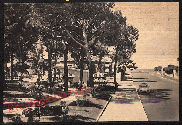ag2357 - CARTOLINA D'EPOCA - Grosseto Provincia - Marina di Grosseto   1962