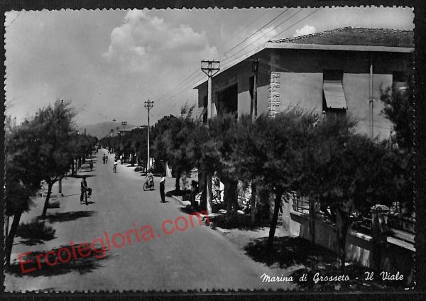 ag2365 - CARTOLINA D'EPOCA - Grosseto Provincia - Marina di Grosseto   1957