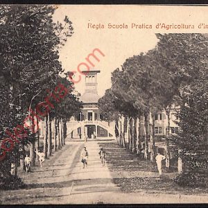 ae2702 - CARTOLINA  D'EPOCA - Bologna Provincia - Imola