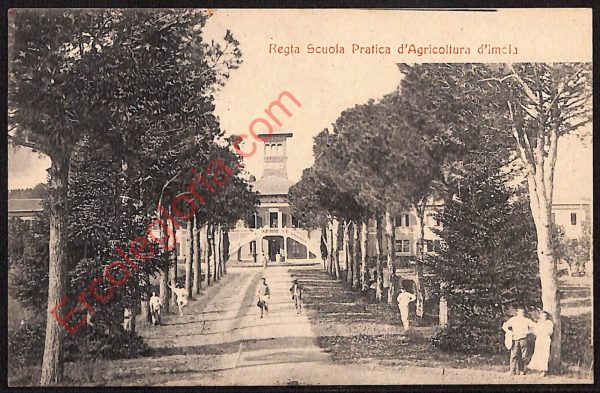ae2702 - CARTOLINA  D'EPOCA - Bologna Provincia - Imola