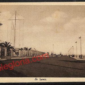 ag5619 - CARTOLINA D'EPOCA - La Spezia Città - Panorama
