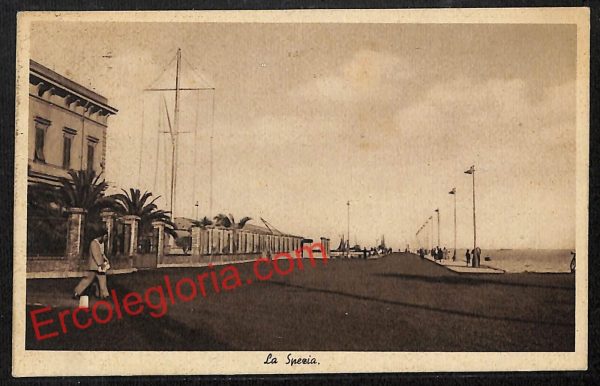 ag5619 - CARTOLINA D'EPOCA - La Spezia Città - Panorama