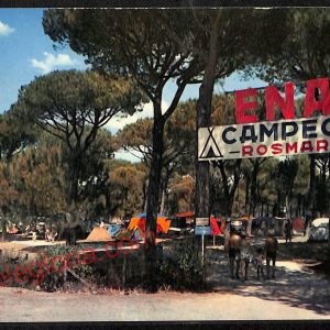 ag2382 - CARTOLINA D'EPOCA - Grosseto Provincia - Marina di Grosseto   1966