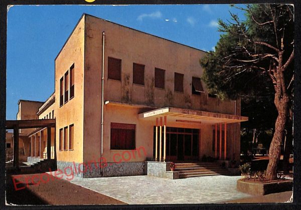 ag2384 - CARTOLINA D'EPOCA - Grosseto Provincia - Marina di Grosseto   1960