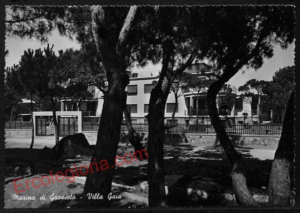 ag2395 - CARTOLINA D'EPOCA - Grosseto Provincia - Marina di Grosseto