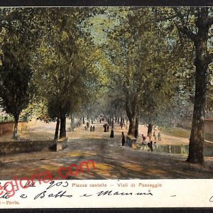 ah5856 - CARTOLINA  D'EPOCA - Pavia Città - Viali di Passeggio