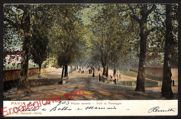 ah5856 - CARTOLINA  D'EPOCA - Pavia Città - Viali di Passeggio