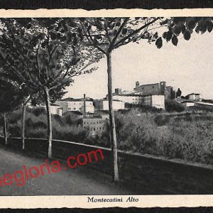 ah8605 - CARTOLINA D'EPOCA - Pistoia Provincia - Montecatini
