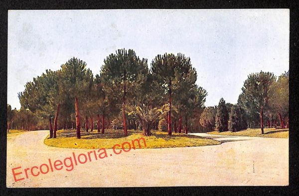 ah8607 - CARTOLINA D'EPOCA - Pistoia Provincia - Montecatini