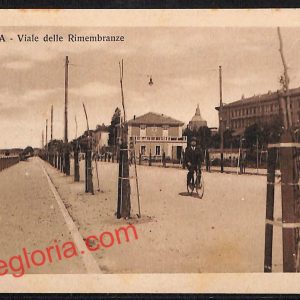 ah5858 - CARTOLINA  D'EPOCA - Pavia Città - Viale delle Rimembranze