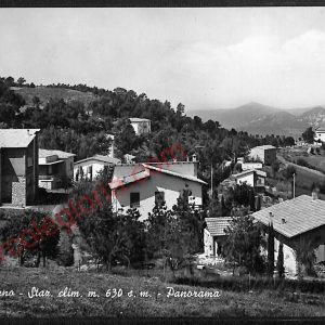 ae2731 - CARTOLINA  D'EPOCA - Bologna Provincia - Monzuno