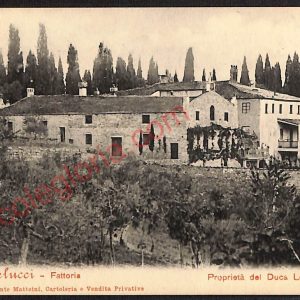 ae2736 - CARTOLINA  D'EPOCA - Bologna Provincia - Montelucci