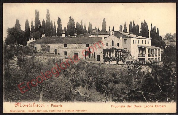ae2736 - CARTOLINA  D'EPOCA - Bologna Provincia - Montelucci