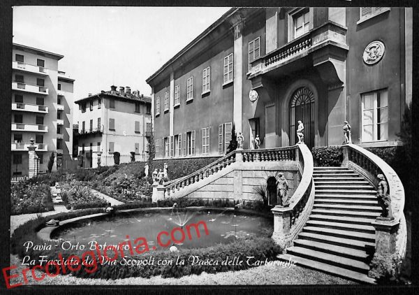 ah5867 - CARTOLINA  D'EPOCA - Pavia Città - Via Scopoli