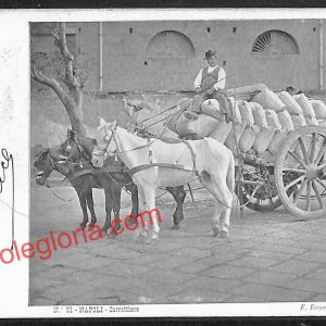 ah3699 - CARTOLINA D'EPOCA - Napoli Città - Carrettiere