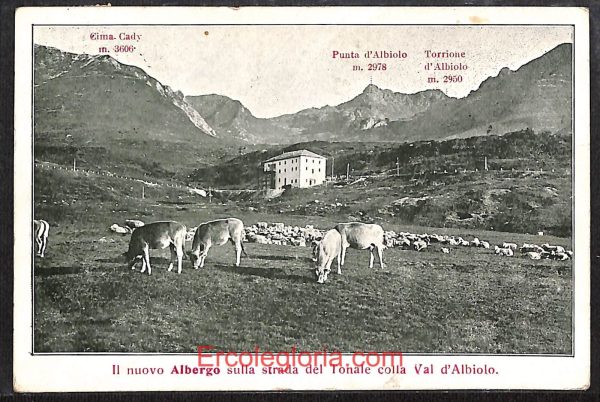 ad9876 - CARTOLINA  D'EPOCA - Aosta Città - Panorama