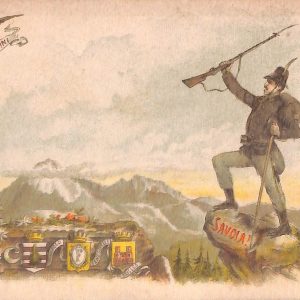 ac6942 - CARTOLINA D'EPOCA - REGGIMENTALI  -  Alpini