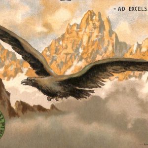 ac7002 - CARTOLINA D'EPOCA - REGGIMENTALI  - Alpini
