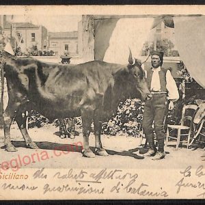 ae4821 - CARTOLINA D'EPOCA - Catania Città - Tipo Siciliano