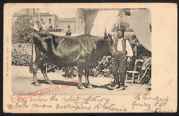 ae4821 - CARTOLINA D'EPOCA - Catania Città - Tipo Siciliano