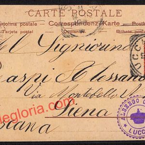 ag6194 - CARTOLINA D'EPOCA - Lucca Città