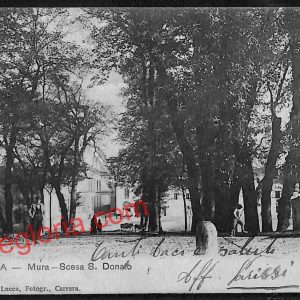 ag6215 - CARTOLINA D'EPOCA - Lucca Città - Scesa S. Donato  1906