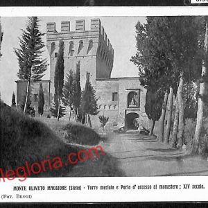 ai5631 - CARTOLINA D' EPOCA - Siena Provincia - Monte Oliveto Maggiore