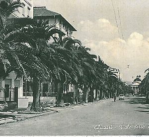 03932a CARTOLINA d'Epoca - CHIAVARI - VIALE DELLE PALME