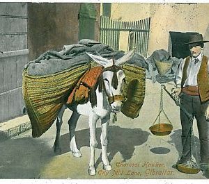 07936 - VINTAGE POSTCARD: GIBRALTAR - COAL HAWKER - ETHNIC