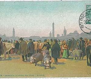 27914  CARTOLINA d'Epoca BOLOGNA  -  MERCATO 1914 - BELLA!
