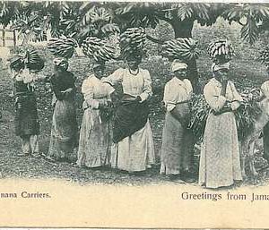 ETHNIC - VINTAGE POSTCARD: commonwealth WEST INDIES - JAMAICA : BANANA CARRIERS