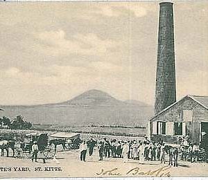 27511  - VINTAGE POSTCARD: commonwealth WEST INDIES - ST KITTS