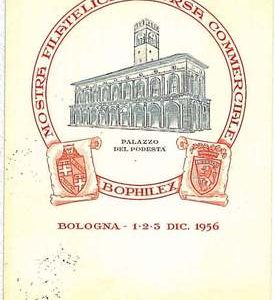 27737   CARTOLINA d'Epoca BOLOGNA  - PUBBLICITARIA 1956