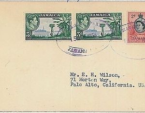 POSTAL HISTORY  cover  -  JAMAICA 1956 : HAGLEY PARK to USA