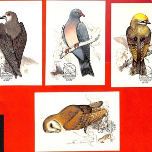 aa3297 - PORTUGAL Madeira -  Set of 4 MAXIMUM CARD 1987  Birds OWL pigeon