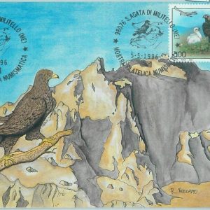 68724 - ITALY - Postal History - MAXIMUM CARD 1996 - NATURE birds EAGLES