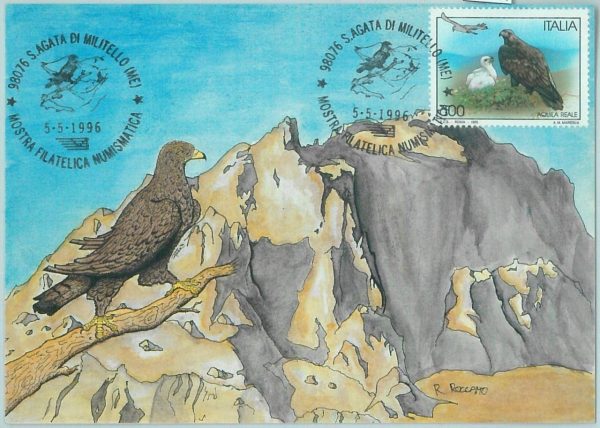 68724 - ITALY - Postal History - MAXIMUM CARD 1996 - NATURE birds EAGLES