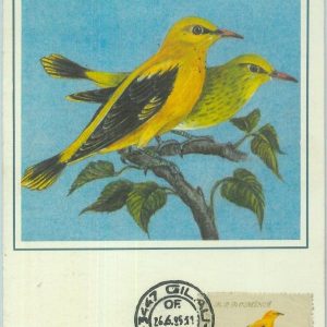 83708 - ROMANIA - Postal History - MAXIMUM CARD -  1985  Birds
