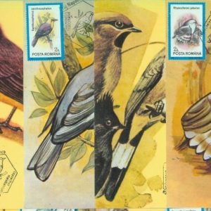 83713 - ROMANIA - Postal History - set of 11 MAXIMUM CARDS -  1992  Birds