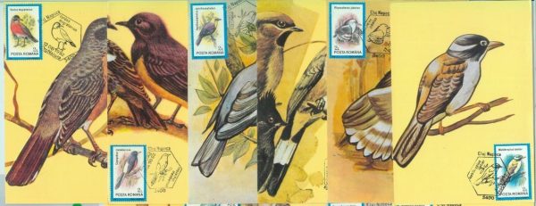 83713 - ROMANIA - Postal History - set of 11 MAXIMUM CARDS -  1992  Birds
