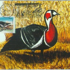 83562 -  ROMANIA - Postal History - MAXIMUM CARD - BIRDS 1989
